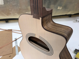 Concert With Neck Fitted.jpg