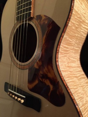 Close up front.jpg