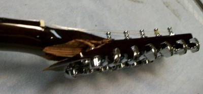 Broken Neck 100_7085 01.jpg