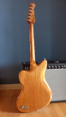 Full_back.JPG