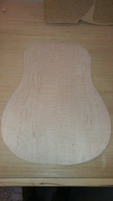 D027 - Back Plate sanded and cut _r.jpg