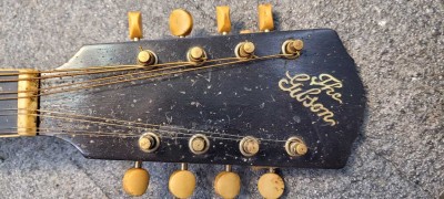 Headstock.jpg